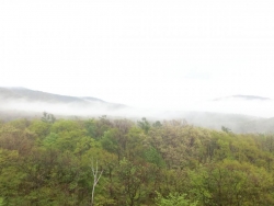 霧降高原