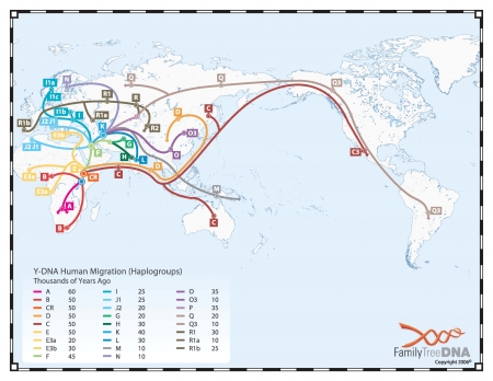 ydna_migrationmap_(FTDNA2006).jpg