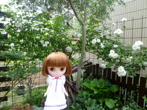 yuna*さんのお庭♪