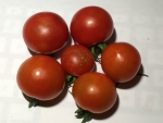 トマト140802