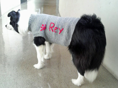 reyたんセーター3