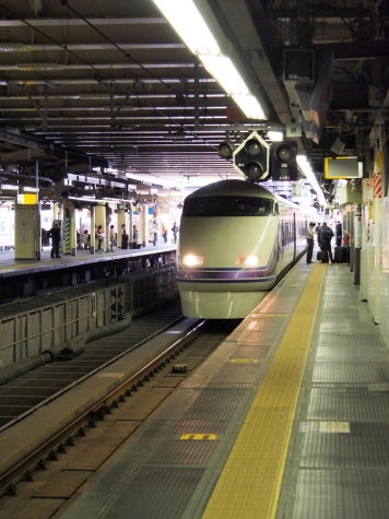 東武鉄道 100系 特急「スペーシアきぬがわ3号」 『雅』仕様