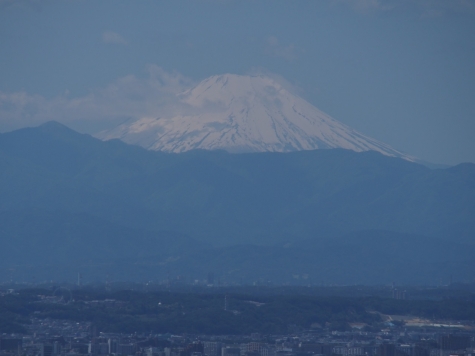 東京都庁からの富士山