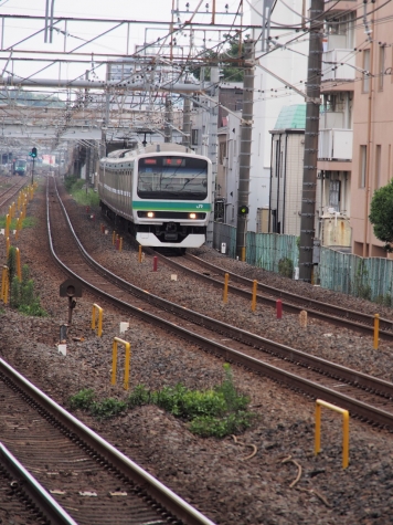 常磐快速線・成田線 E231系 電車