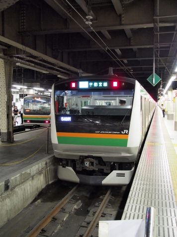 高崎線・宇都宮線 E233系3000番台 近郊型 電車