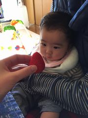 ［写真］大粒イチゴをじっとみつめる生後５か月の赤ちゃん